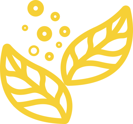 Flucor Flucor
